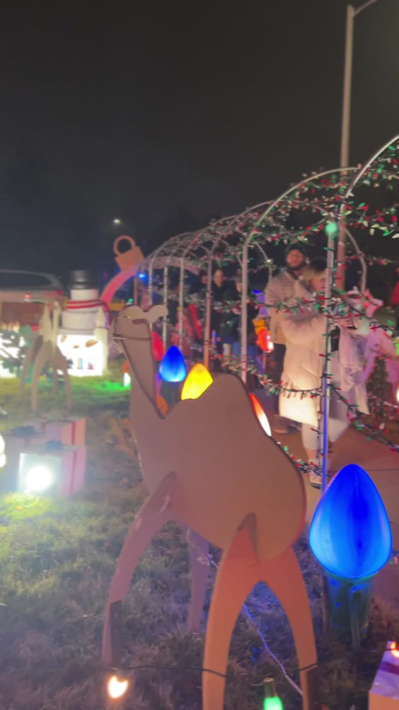 TP Christmas House
