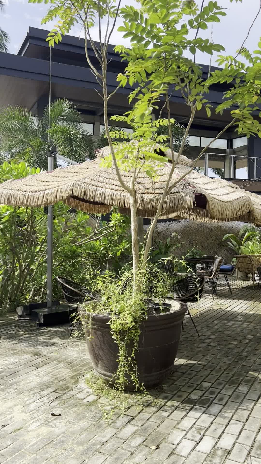Hayahay Café & Coworking