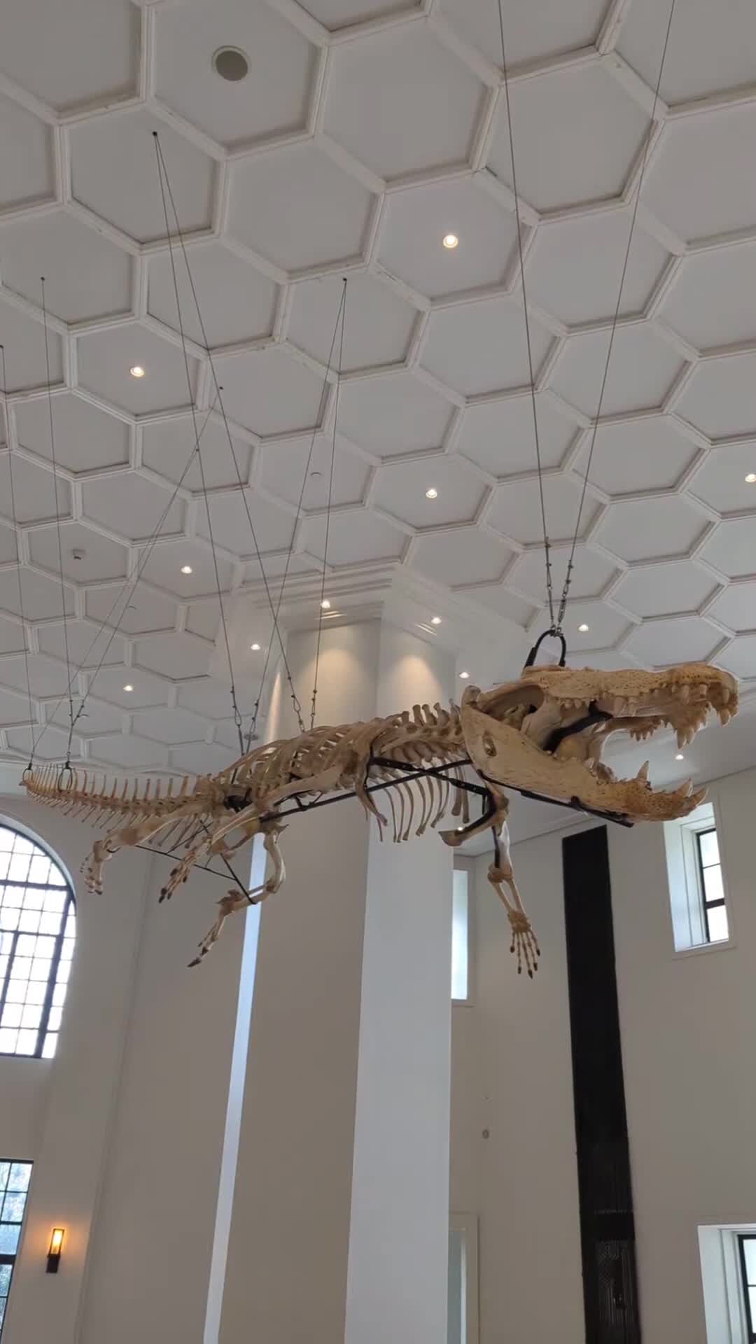National Museum of Natural History