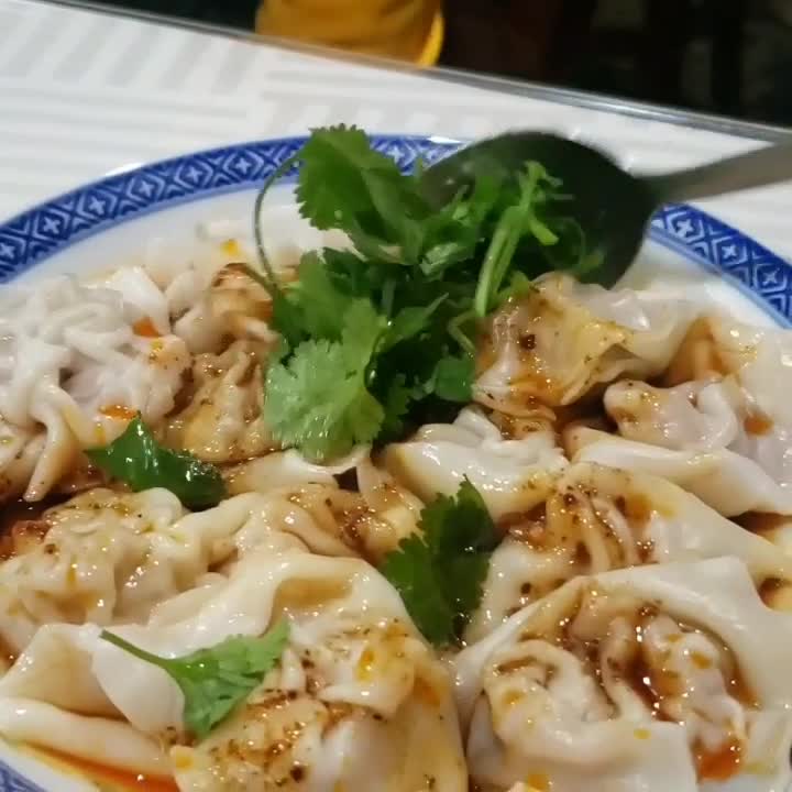 Video review of Shanghai Dumpling Shop