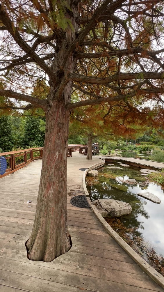 Morton Adventure Woods
