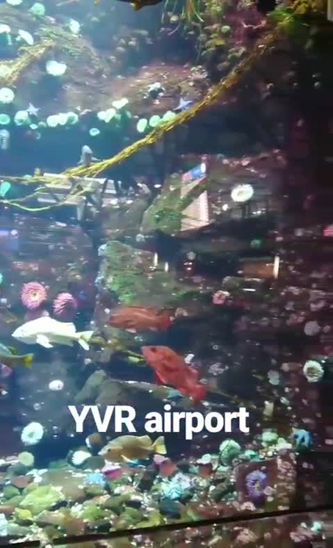 Vancouver International Airport