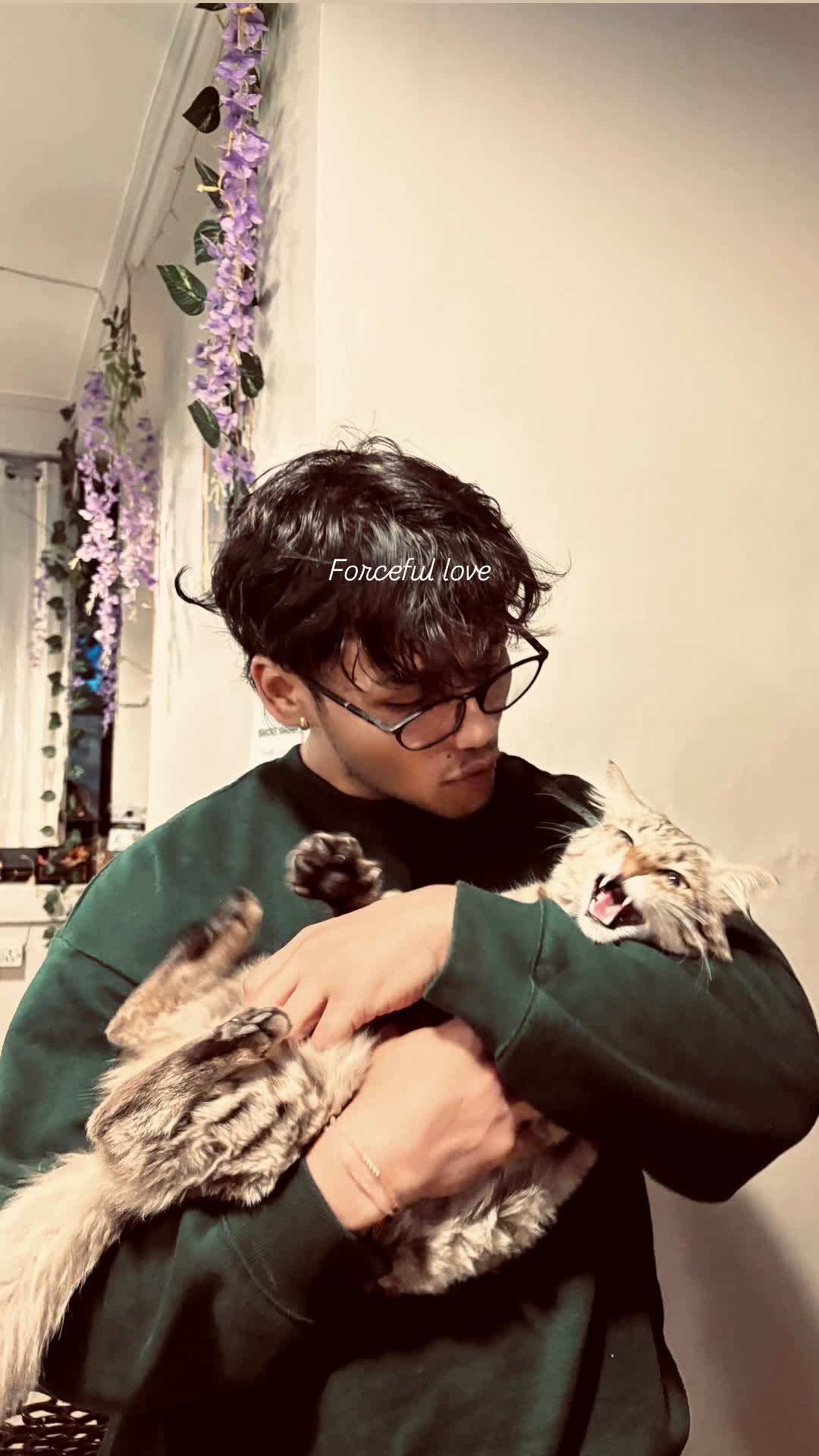 Pradeep Chaat Bhandar