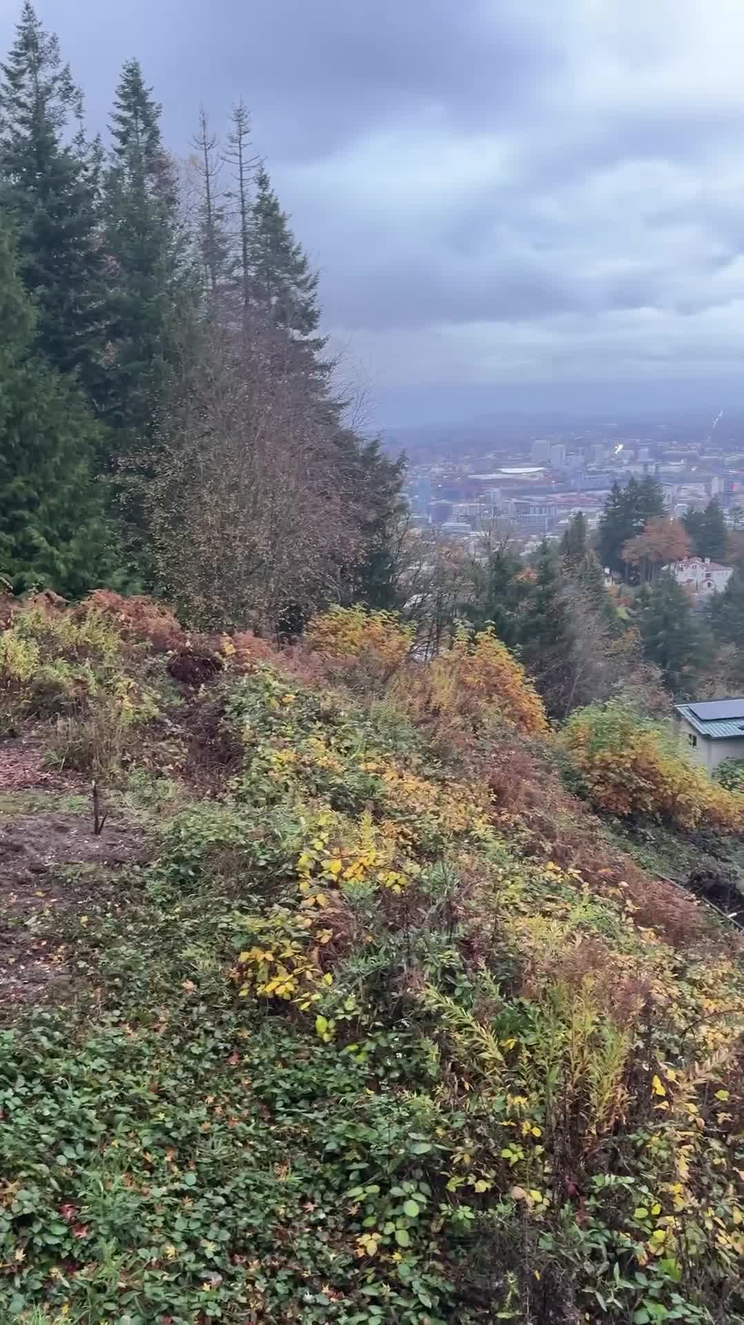 Pittock mansion 