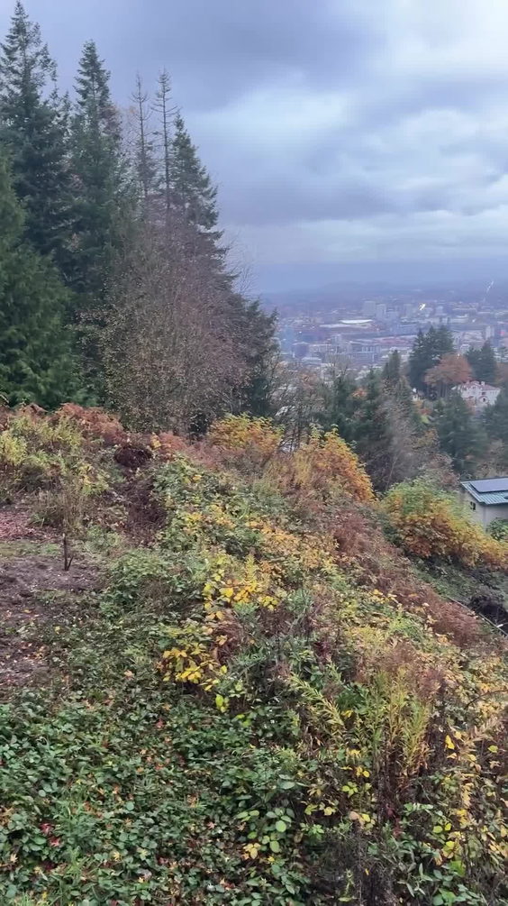 Pittock mansion 