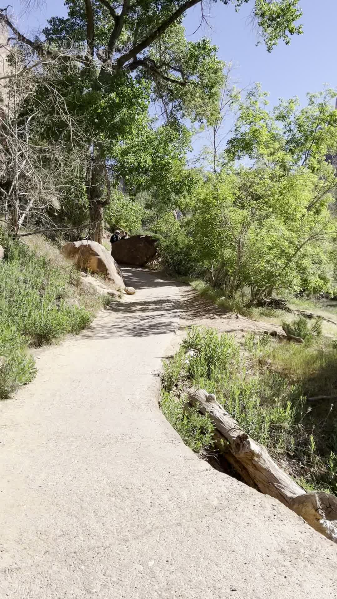 Zion National Park