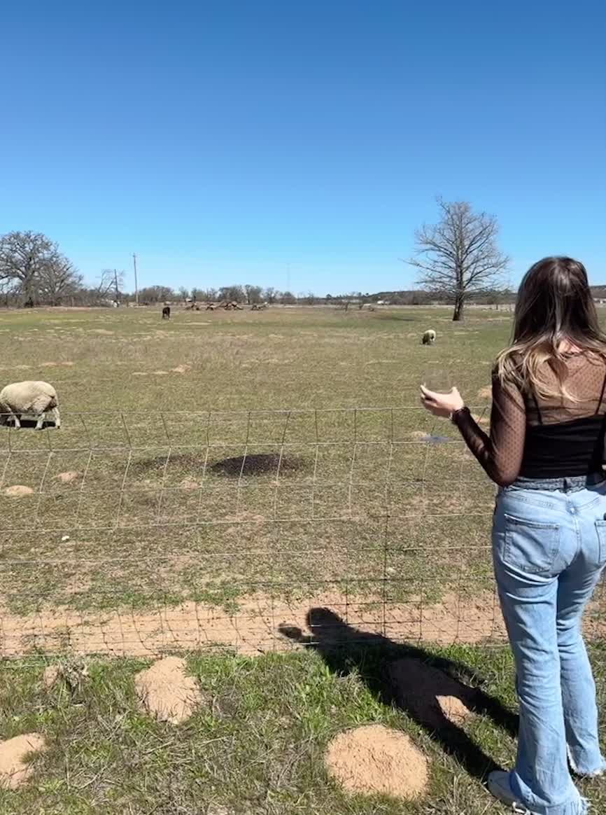 All Seasons: Wine Country Cottages On Main