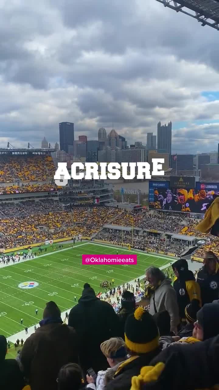 Video review of Bank of America Stadium