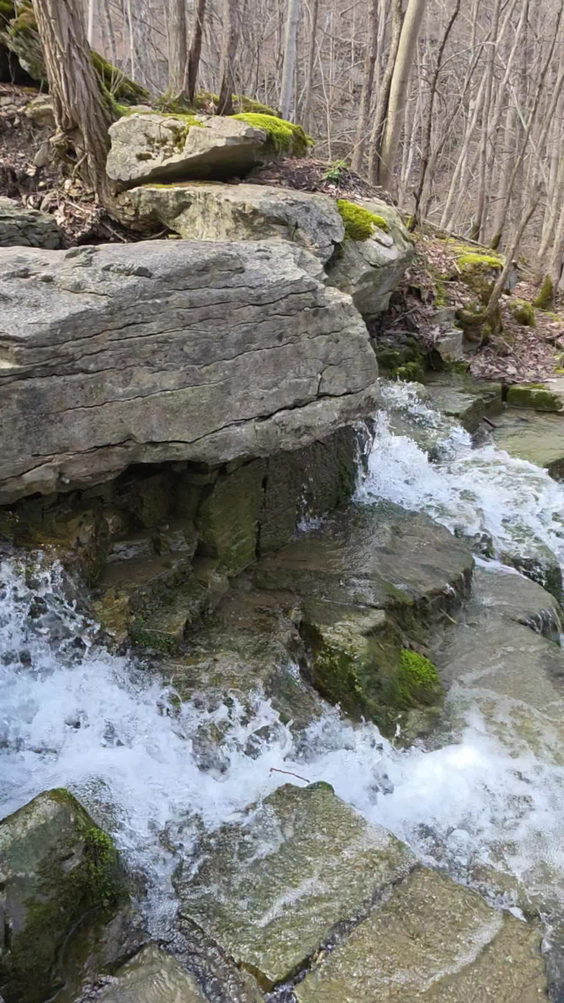 Three Falls Woods