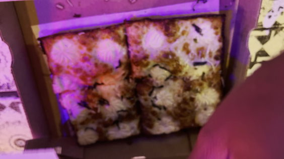 SoDough Square