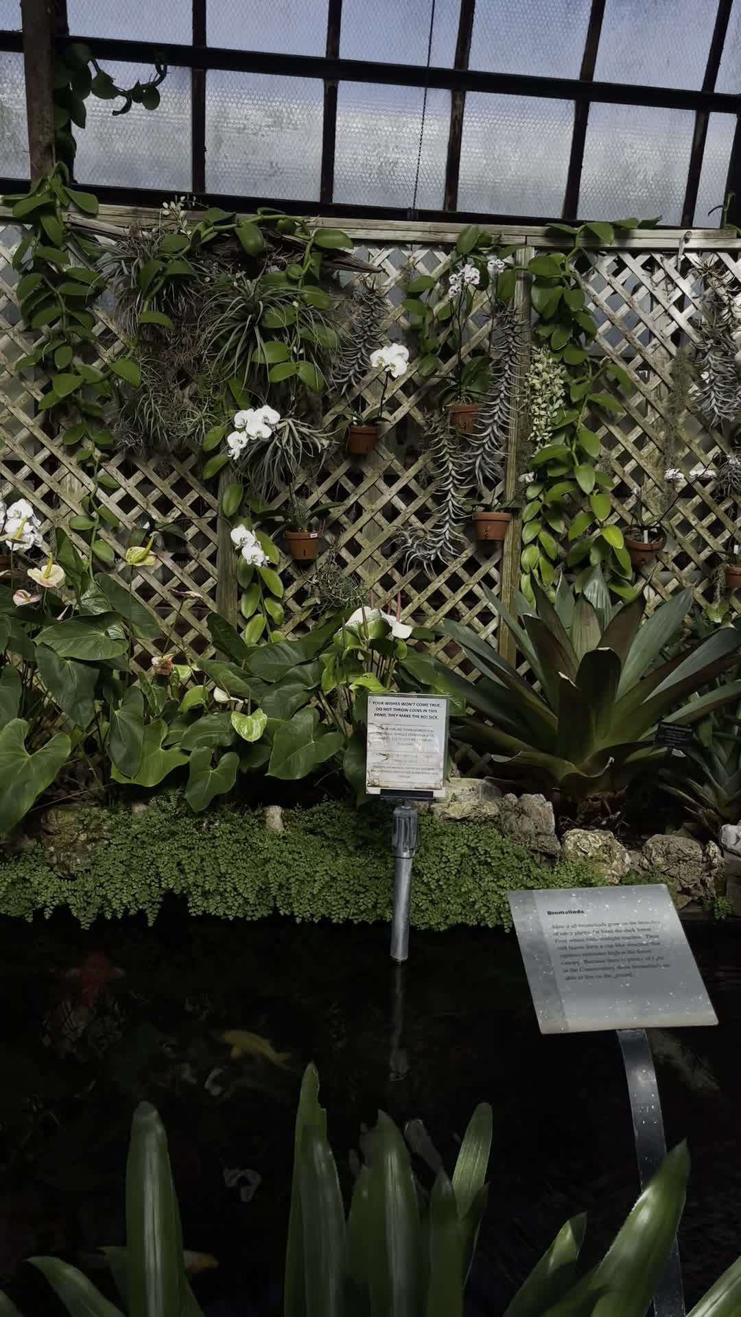 Video review of Lincoln Park Conservatory
