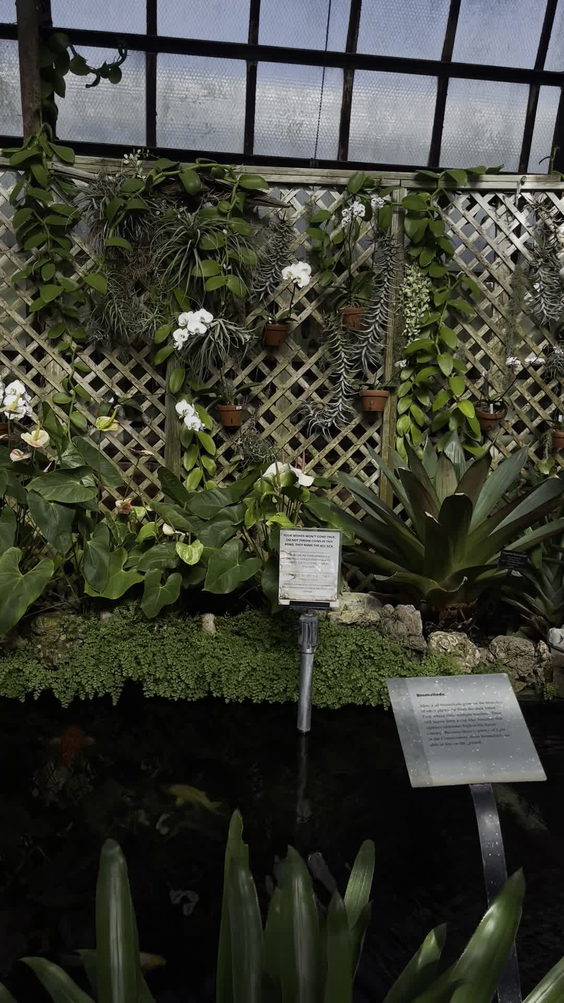 Lincoln Park Conservatory