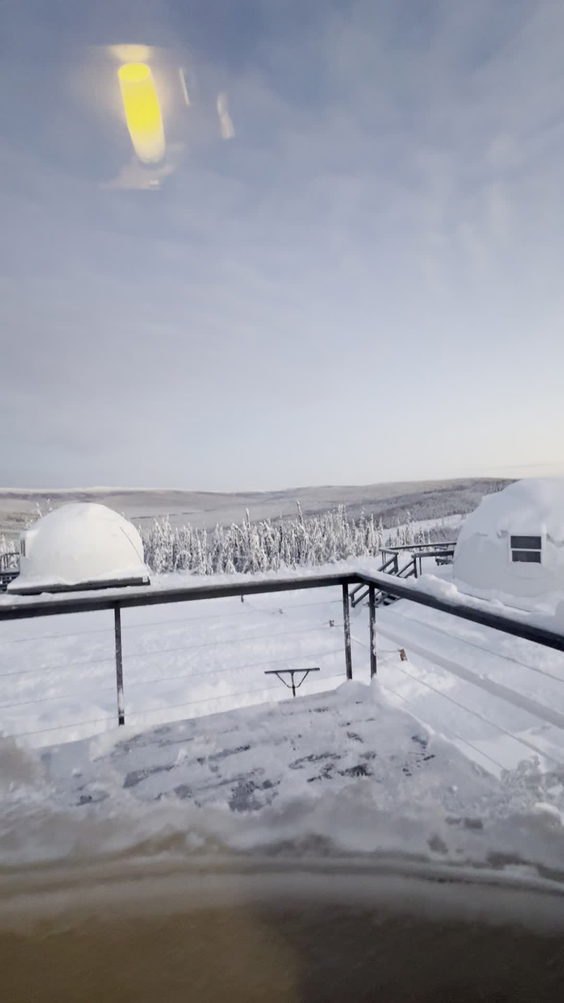 Borealis Basecamp