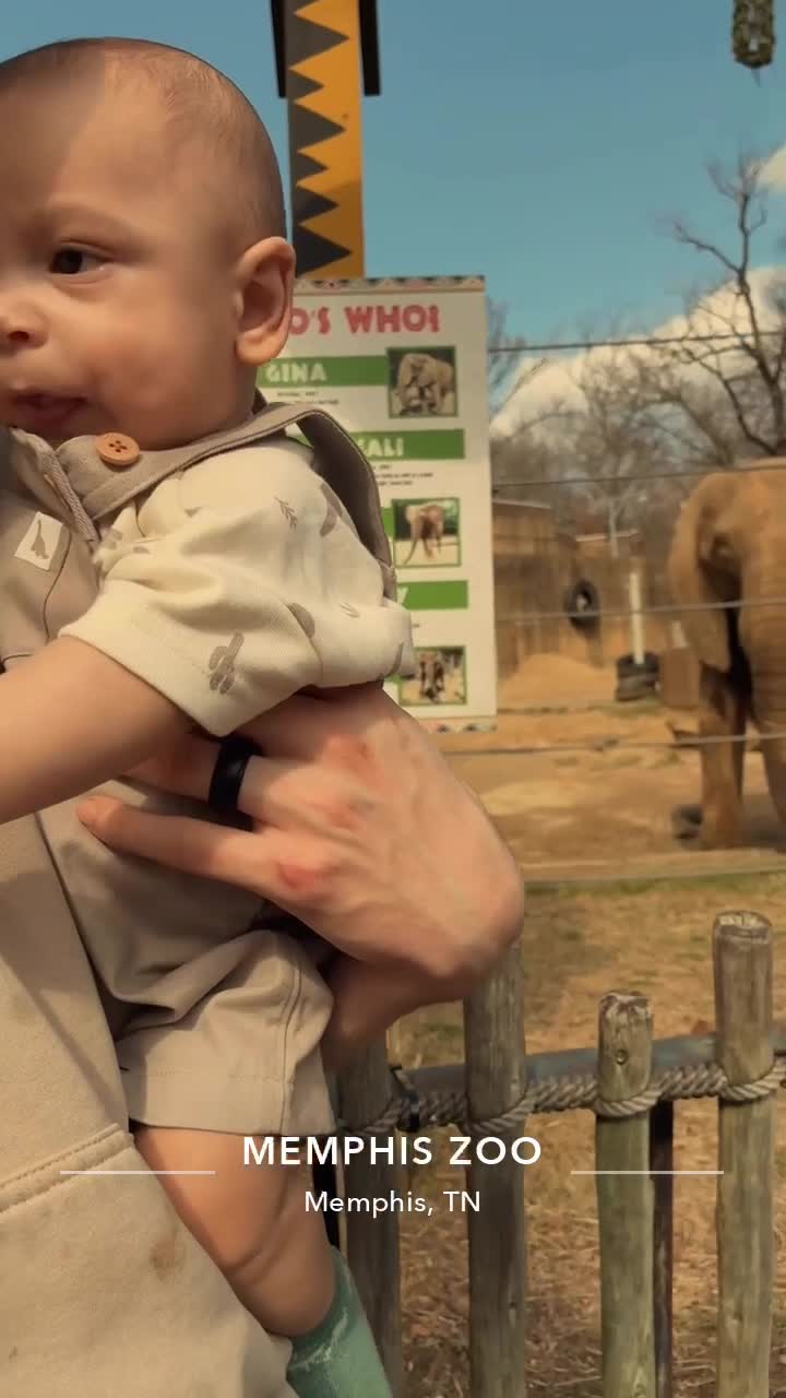 Video review of Memphis Zoo Cat House Cafe