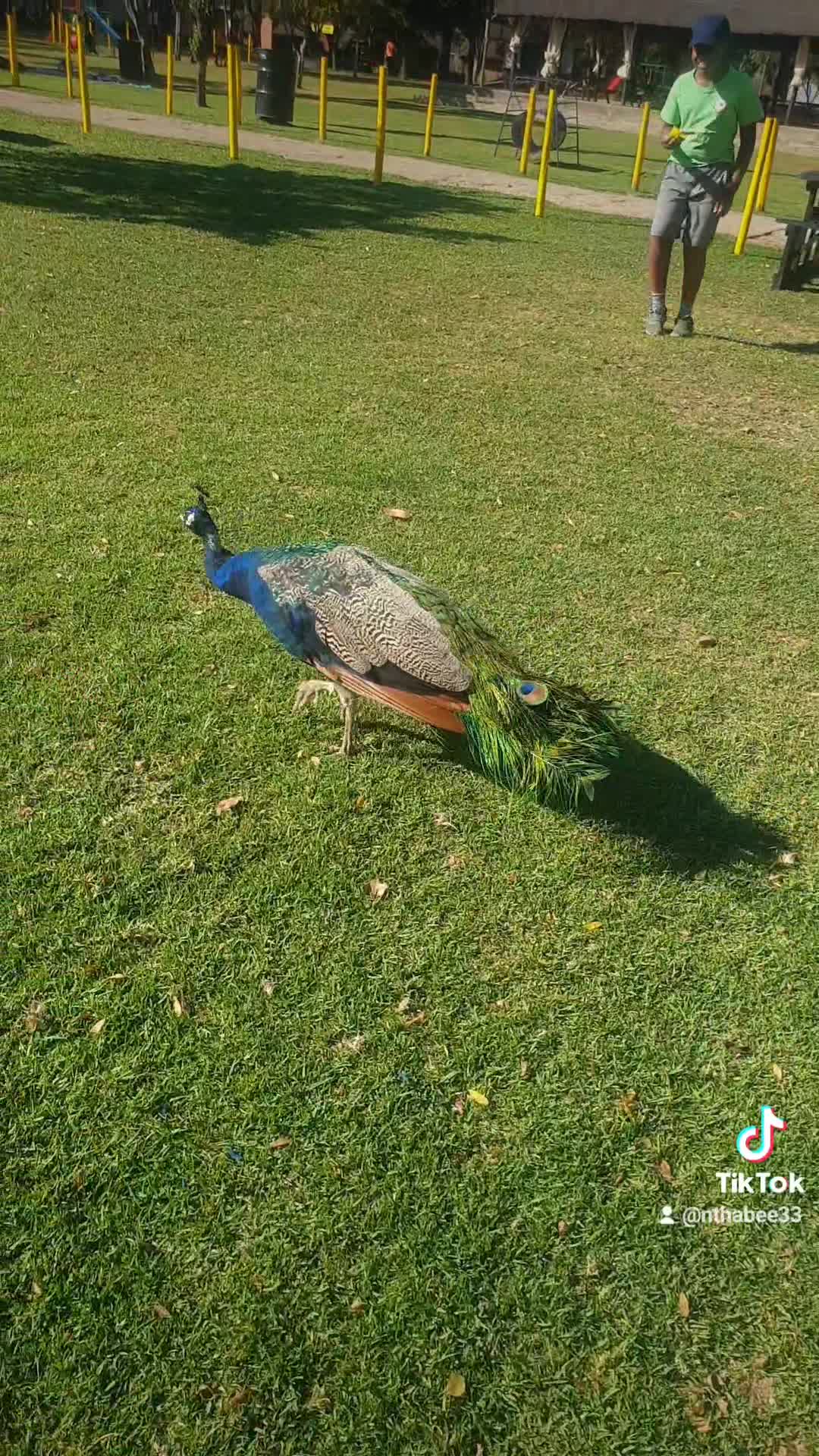 Spent the day with nature at Rietvlei nature reserve, Pretoria