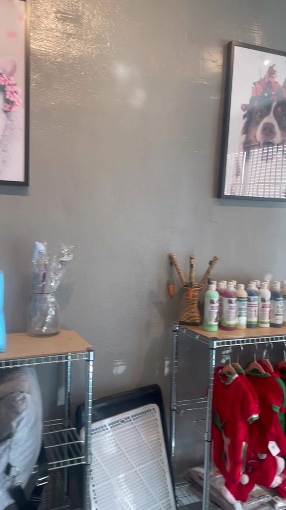 Cody & Miley Pet Grooming