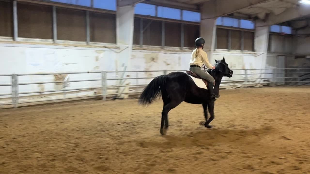 Phoenix equestrian center
