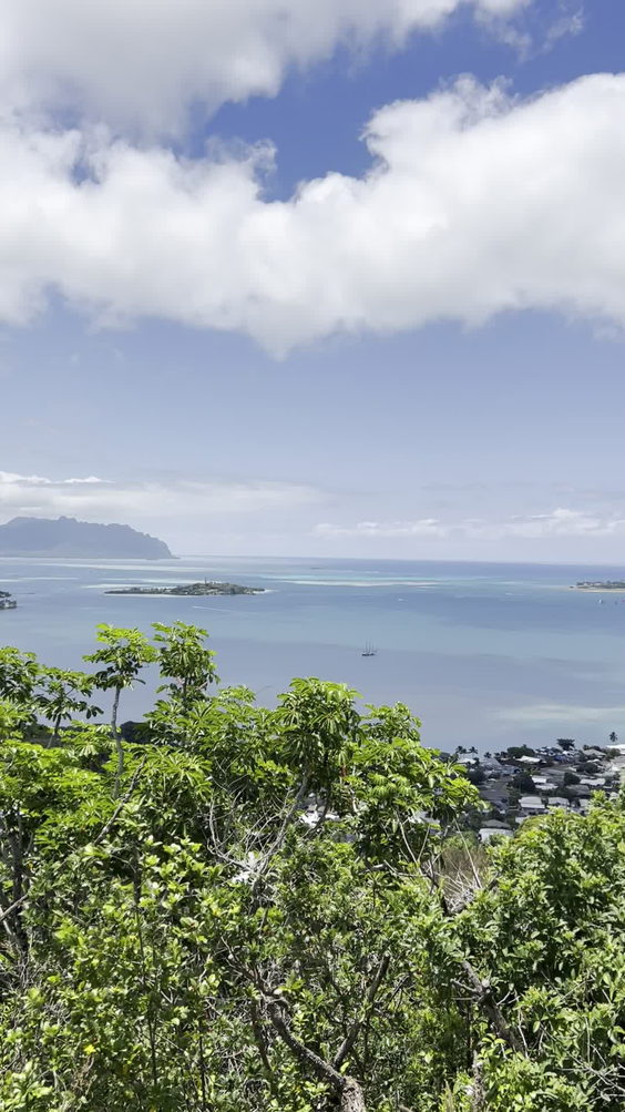 Friendship Garden