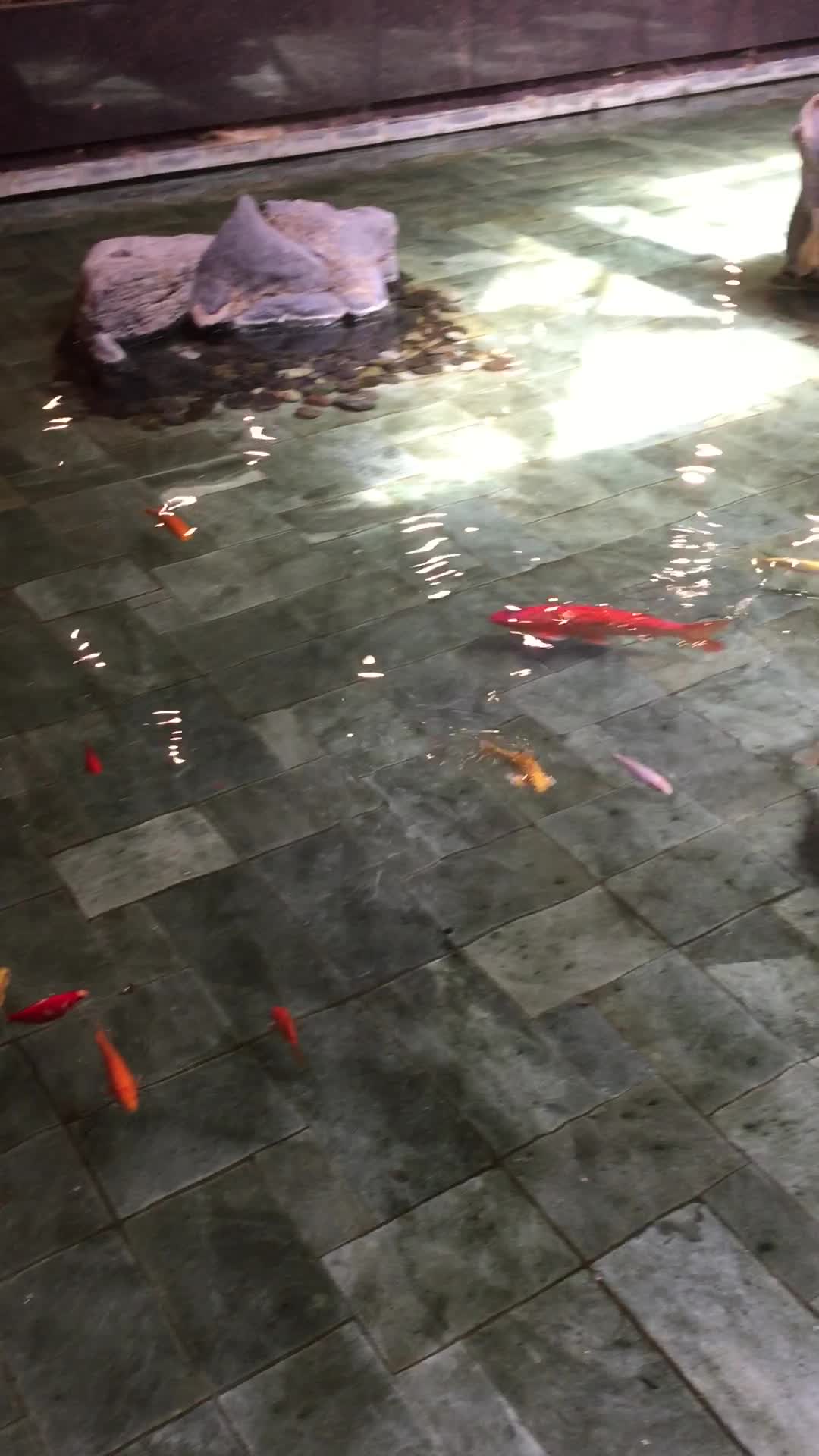 Holiday Inn Hotel & Suites Montreal Centre-Ville Ouest