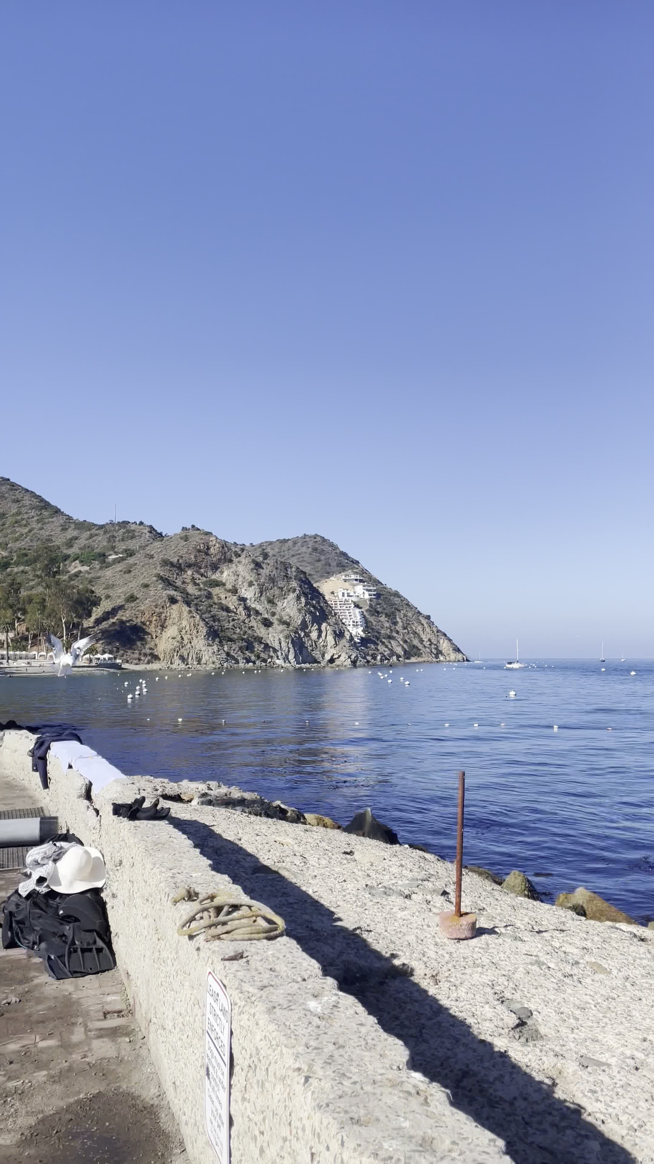 Casino Point Dive Park