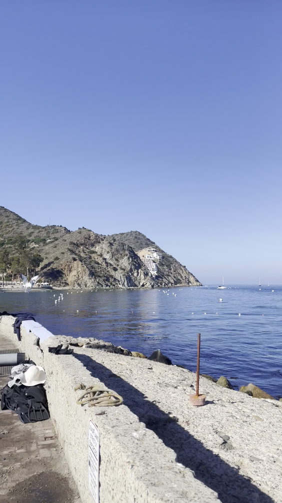 Casino Point Dive Park