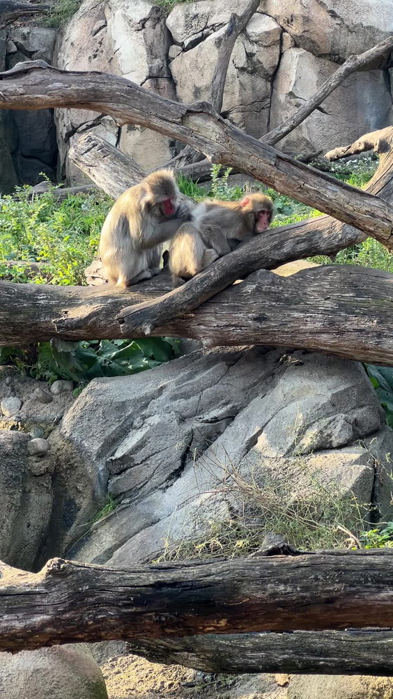 Lincoln Park Zoo