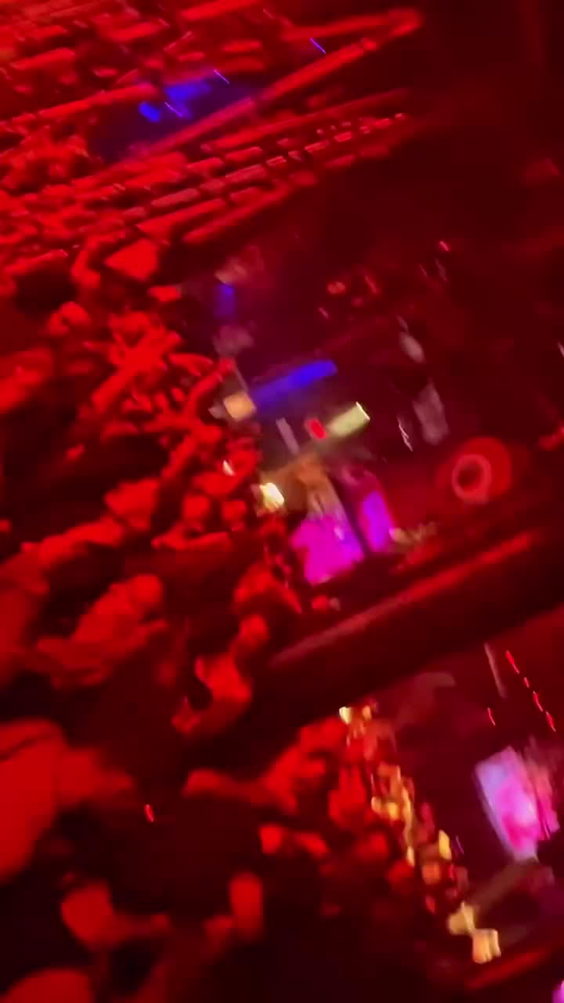 The ave live