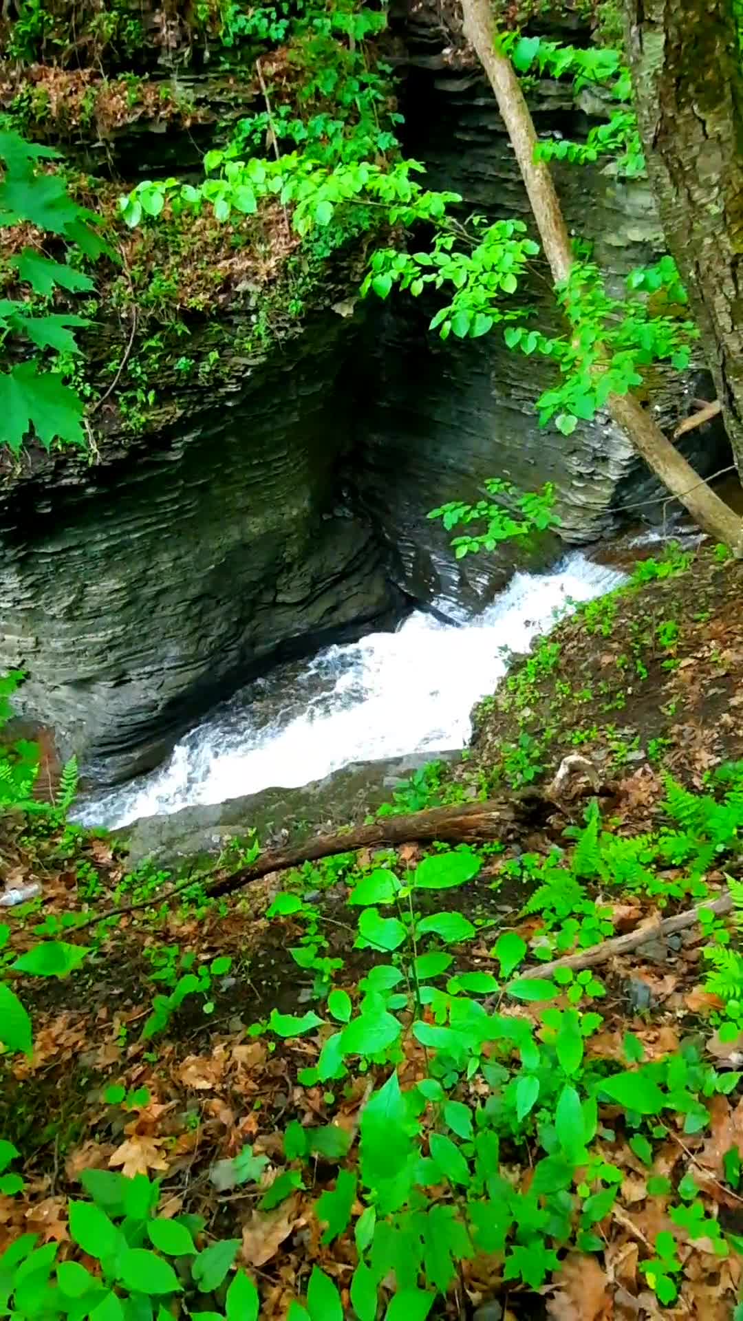 Buttermilk Falls State Park