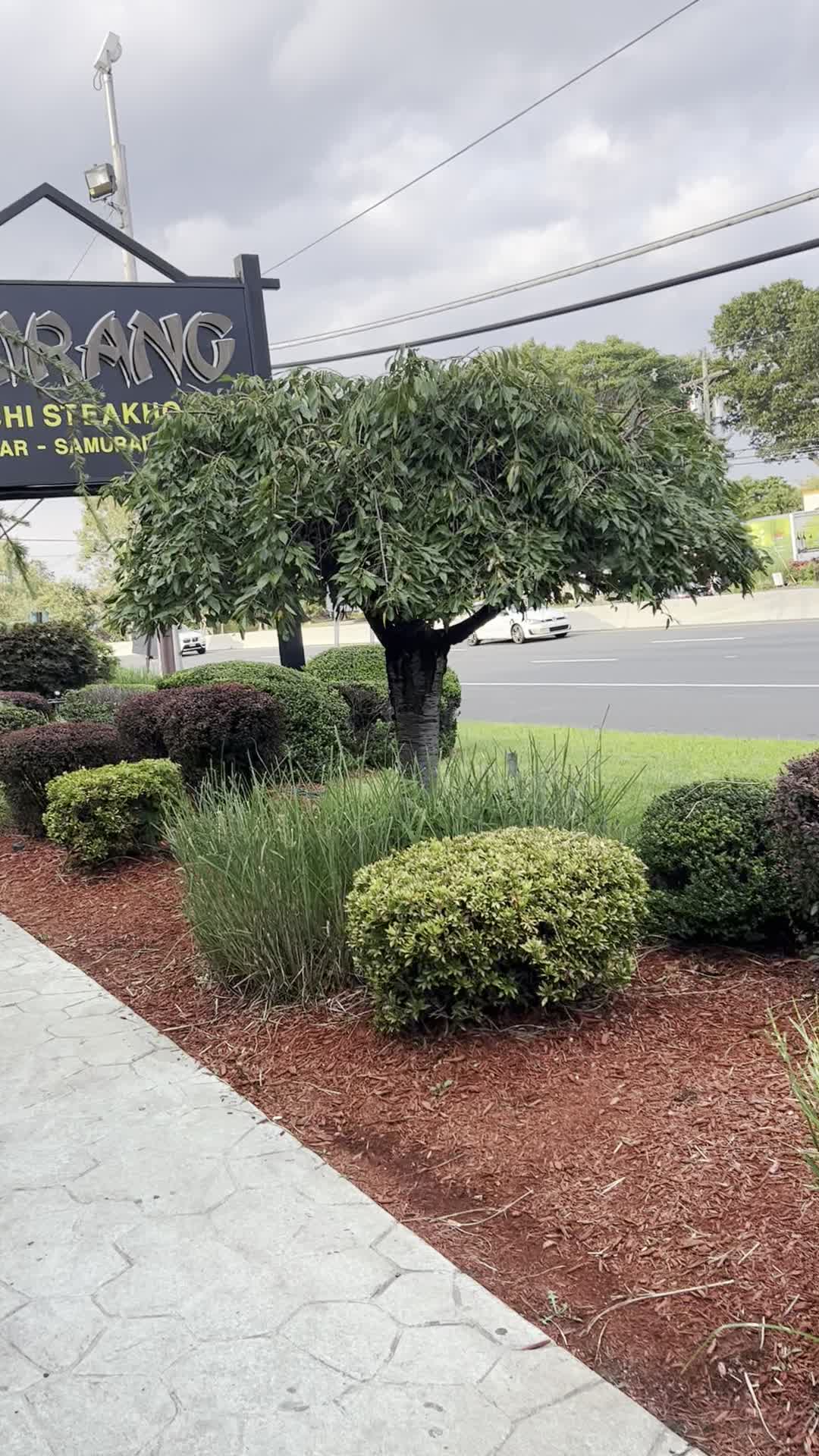 Arirang Hibachi Steakhouse