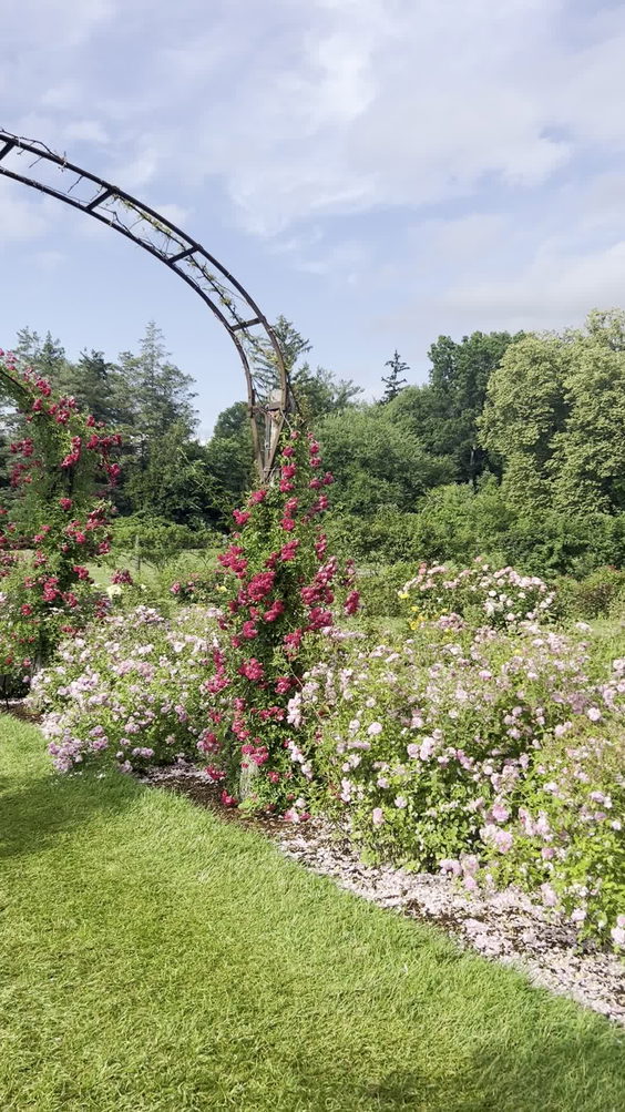 Elizabeth Park