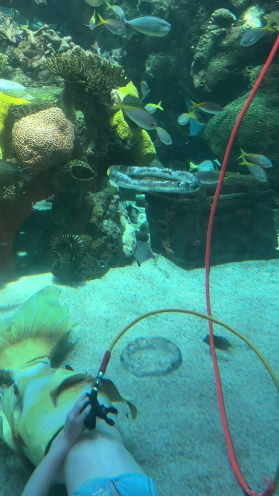Bass Pro Shops