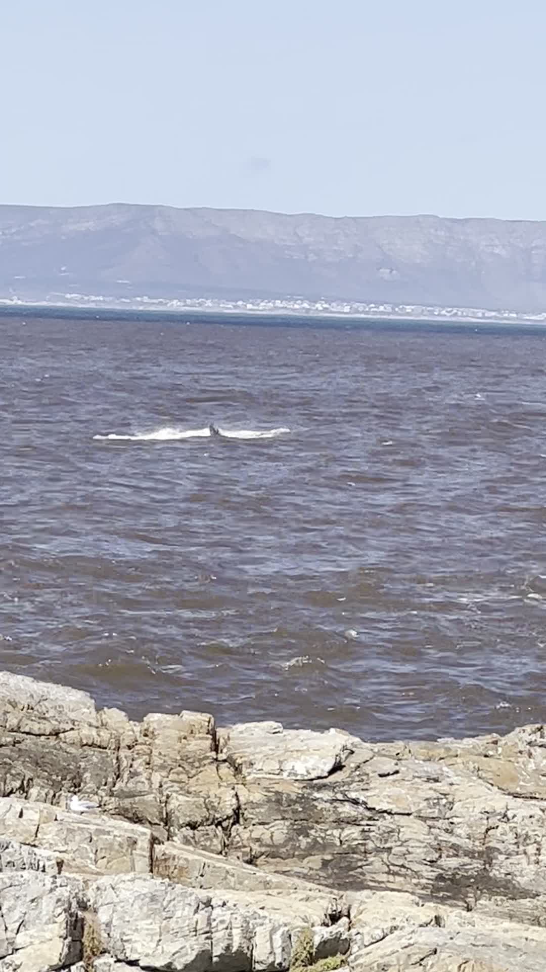 Video review of Hermanus Whale Lookout