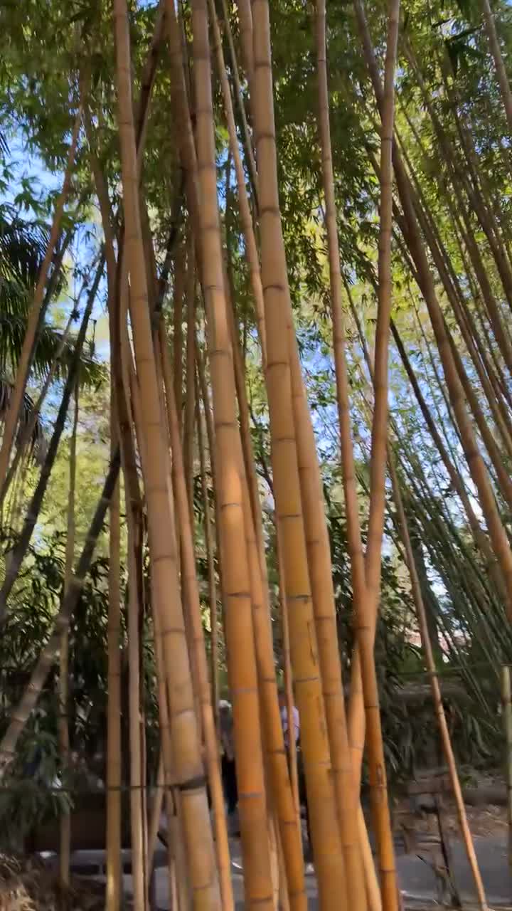 San Diego Zoo