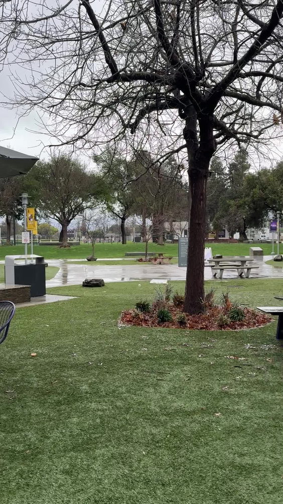 San Jose City College