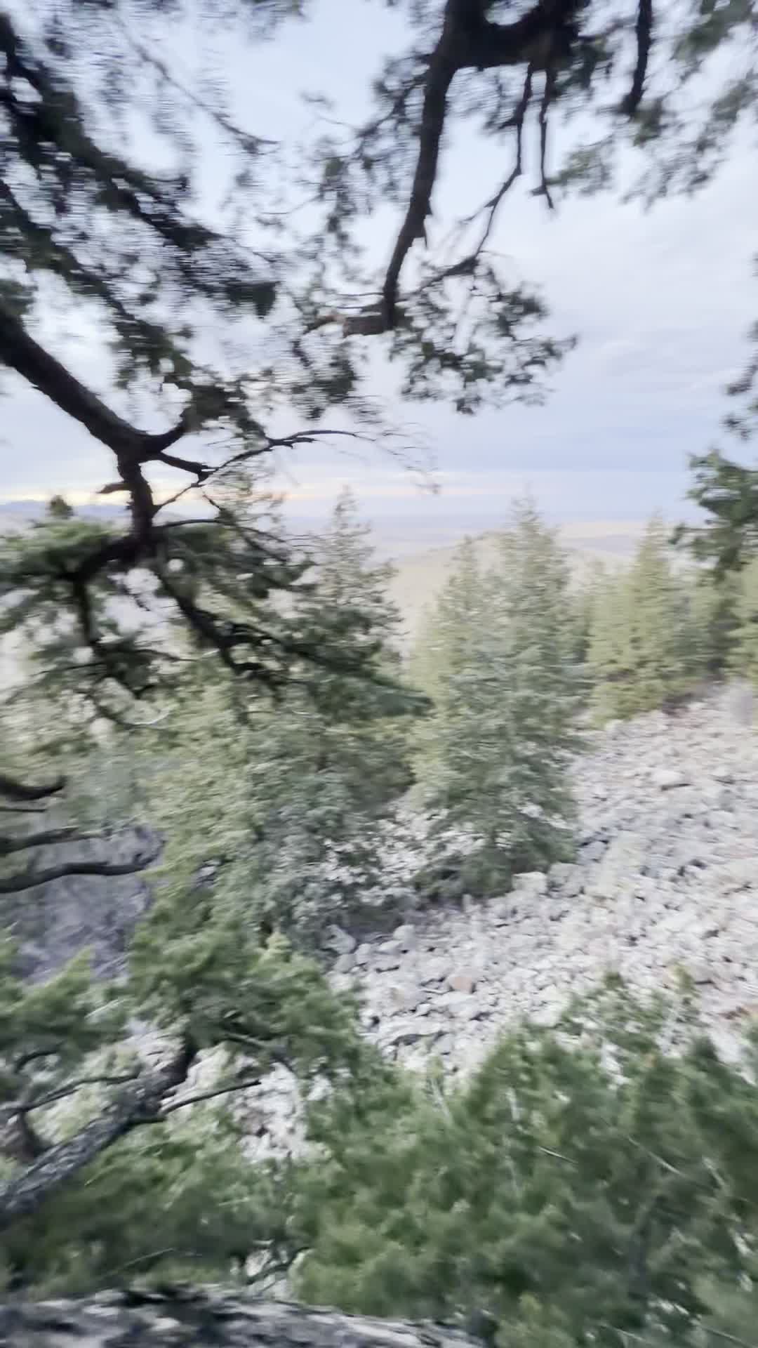 Lookout Mountain Park