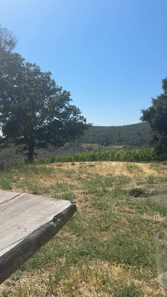 Mayacamas Winery