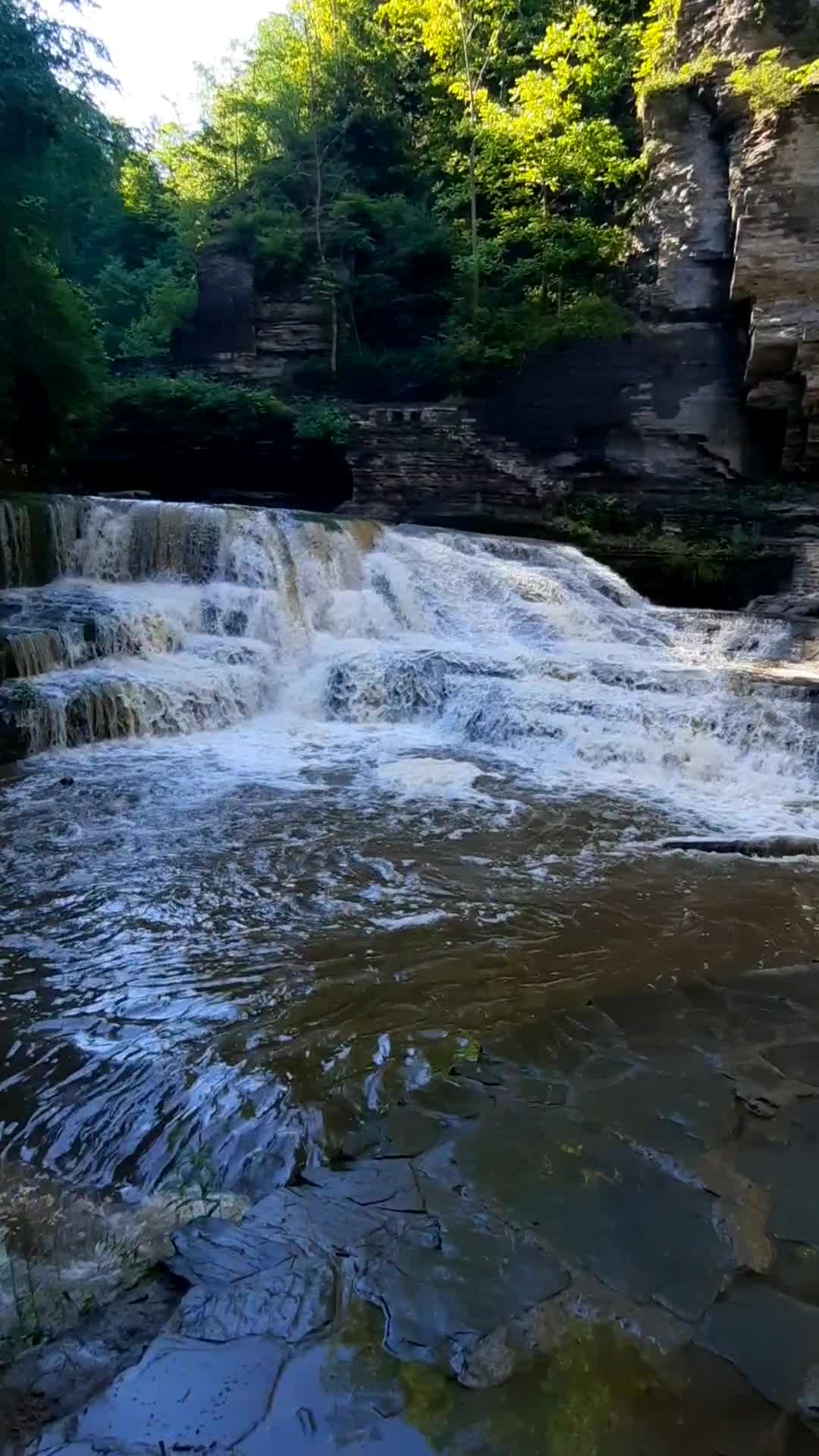Robert H Treman State Park