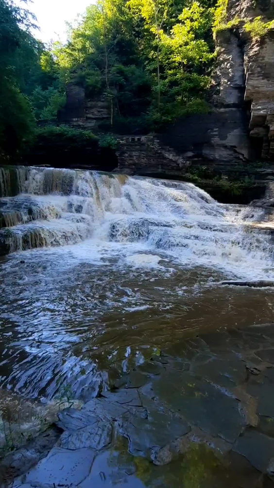Robert H Treman State Park