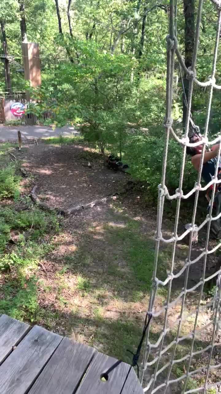 Go Ape Treetop Adventure Course