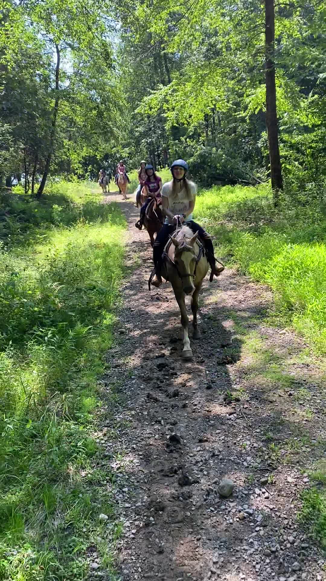 Lee's Riding Stable at Windfield Morgan Farm
