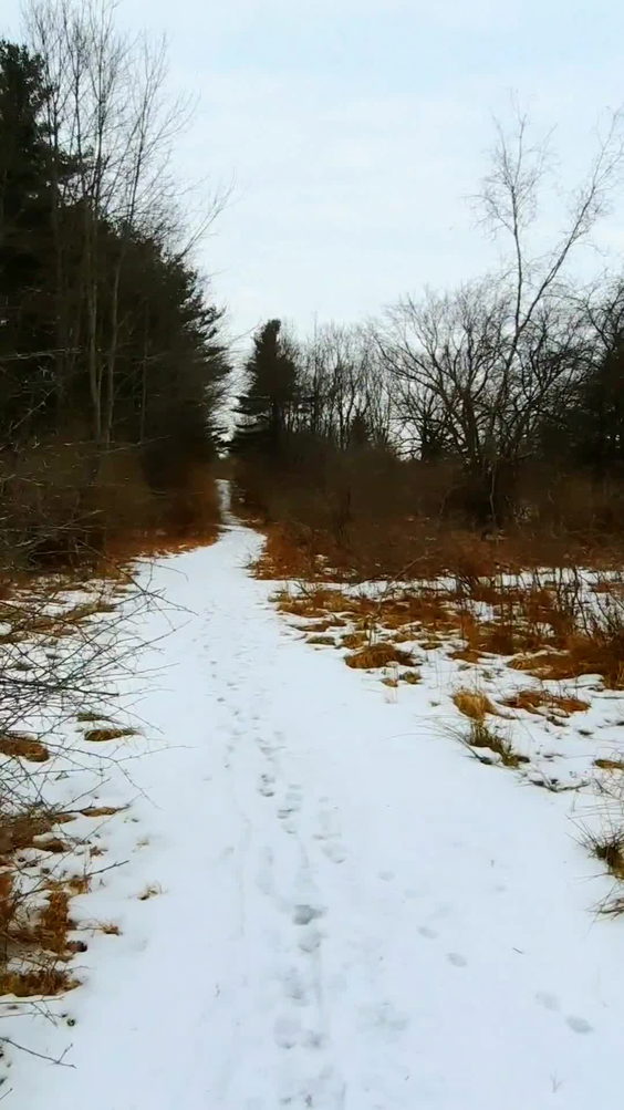 Nature Preserve