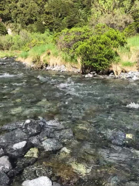 Hiking New Zealand