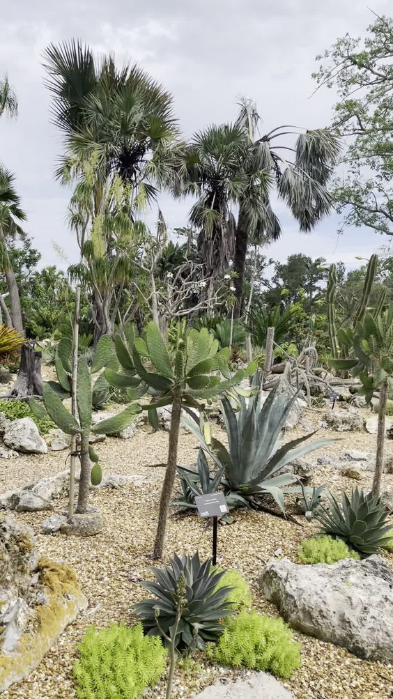 Marie Selby Botanical Gardens