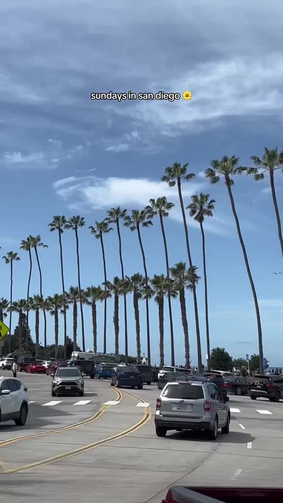 La Jolla Coastal Walk Trail