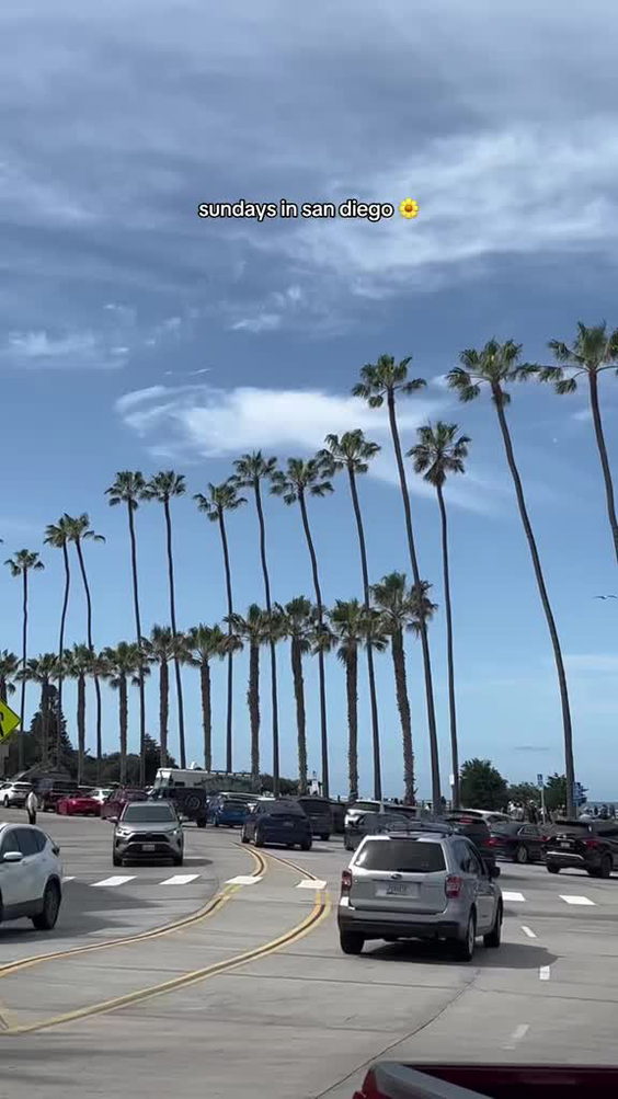 La Jolla Coastal Walk Trail