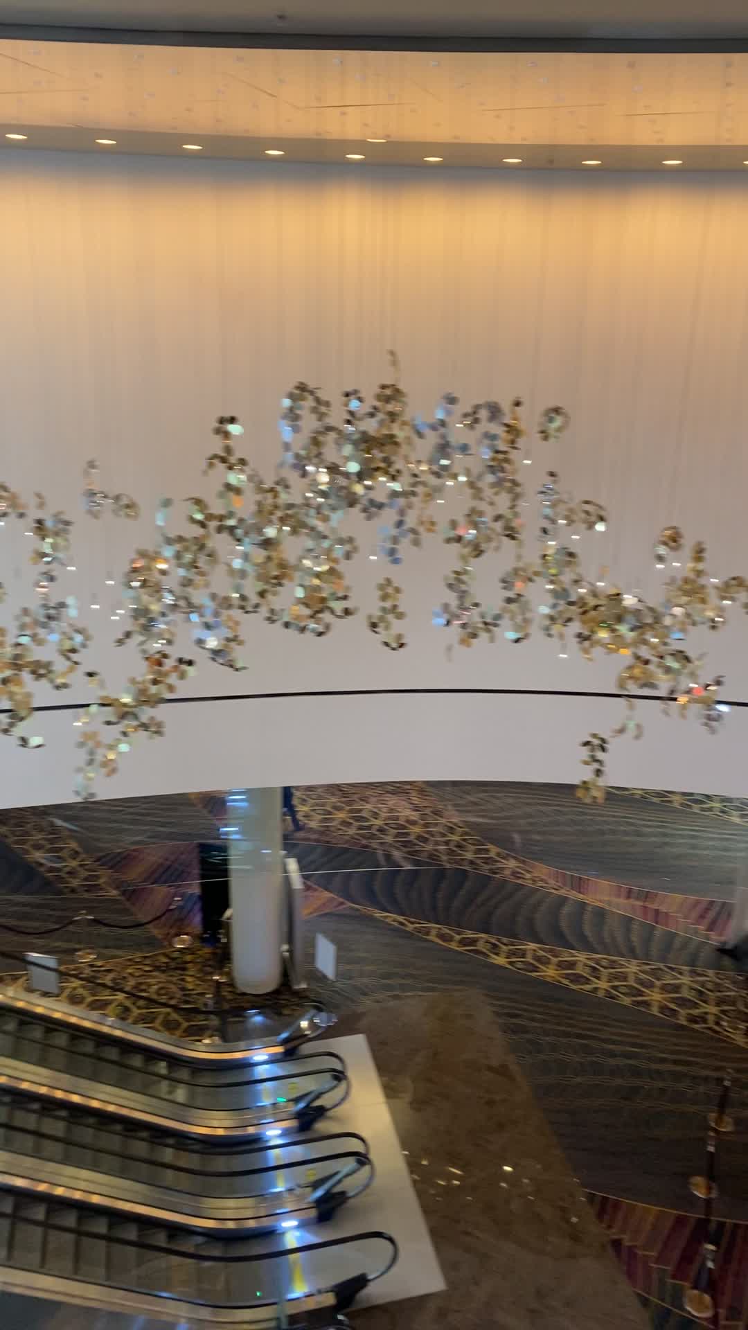 Video review of ARIA Convention Center