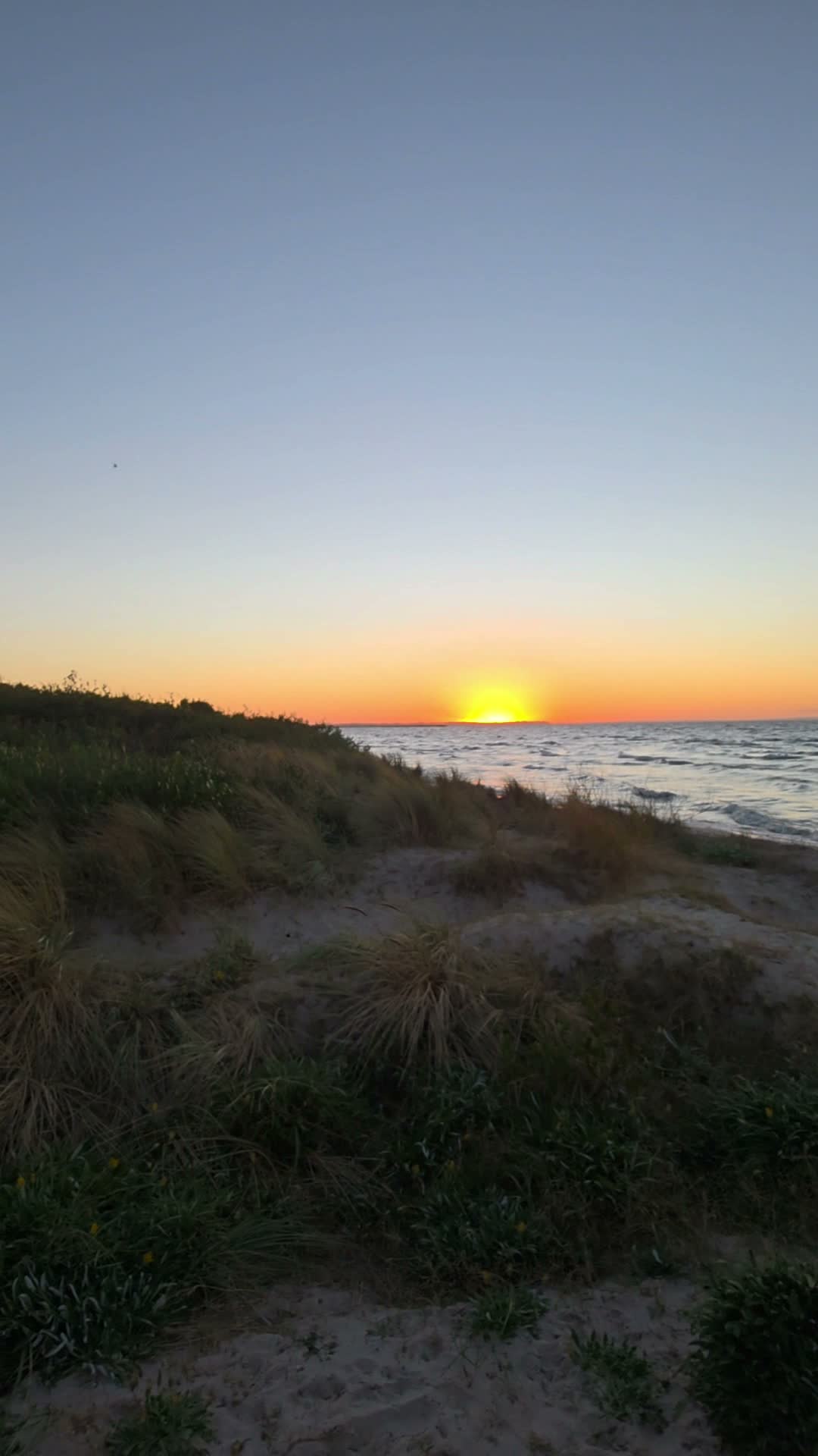 Dromana Beach