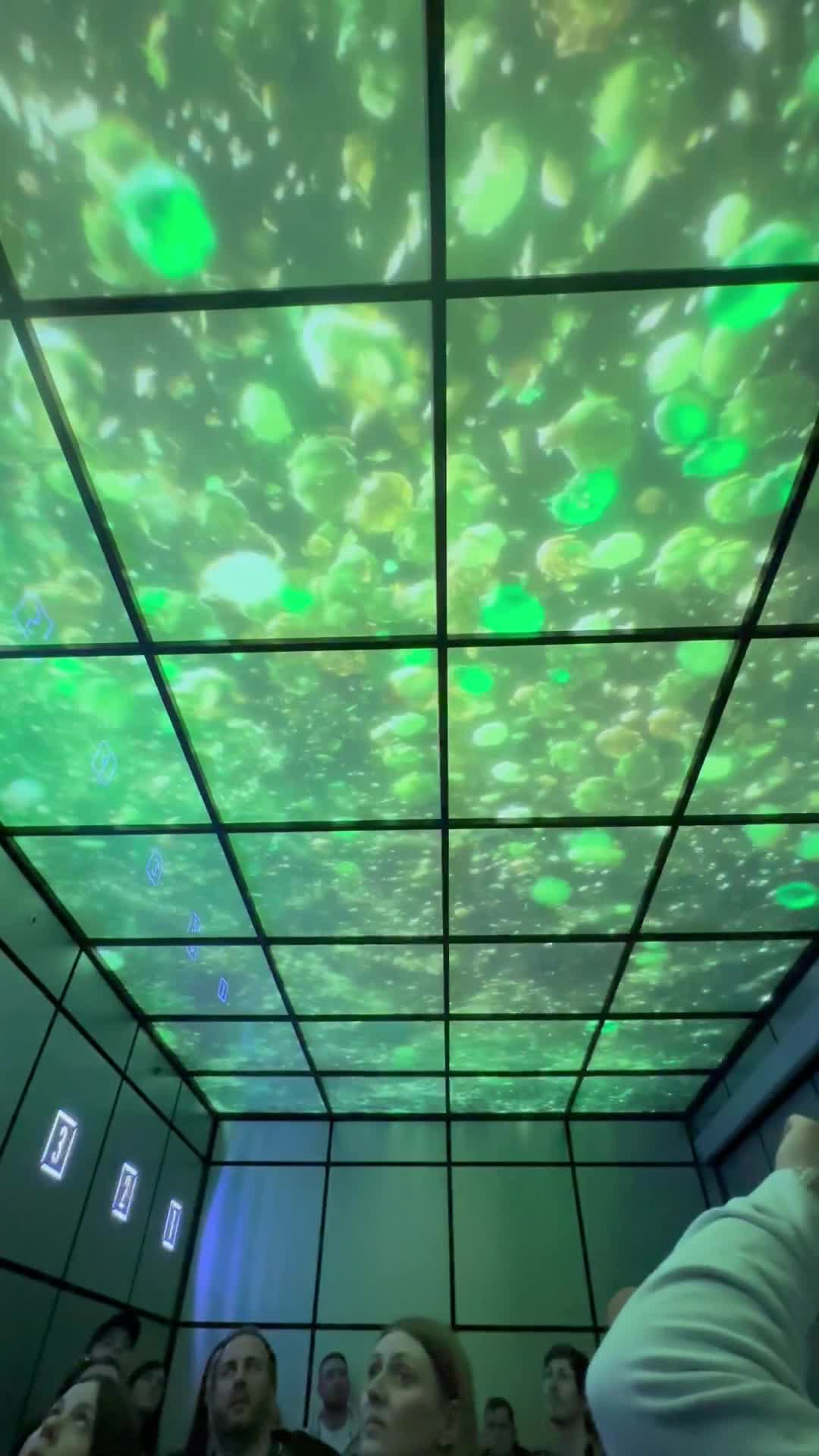 Heineken Experience