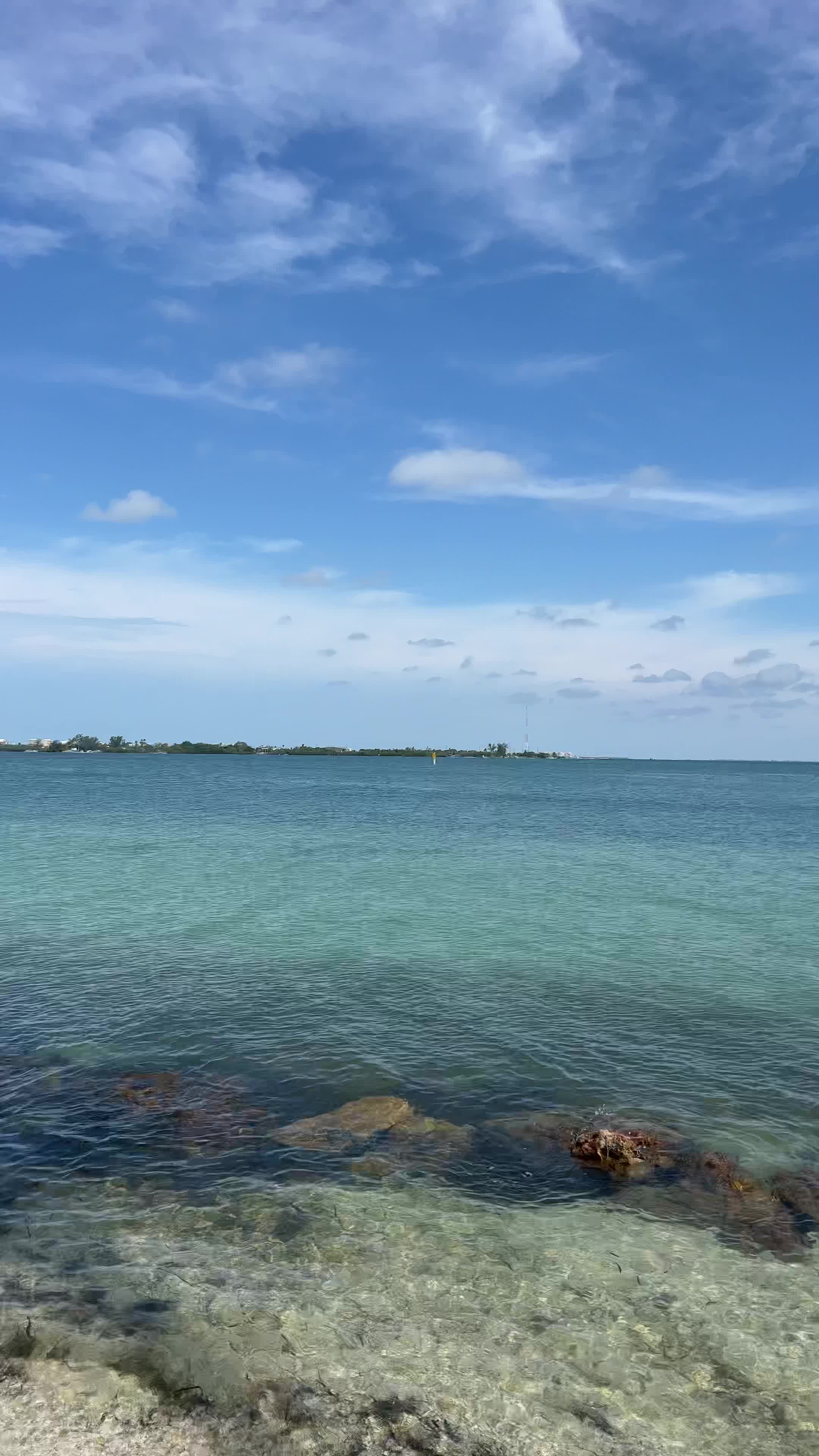 Bird Key Park