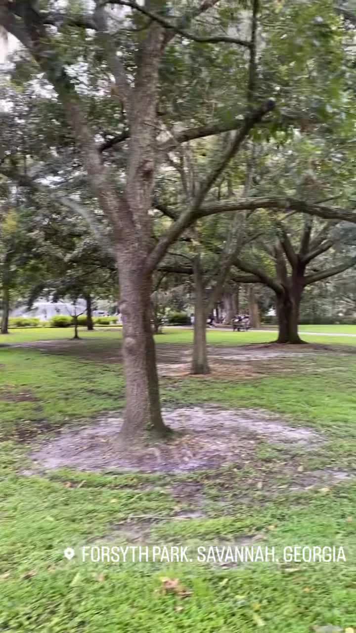 Forsyth Park Fountain